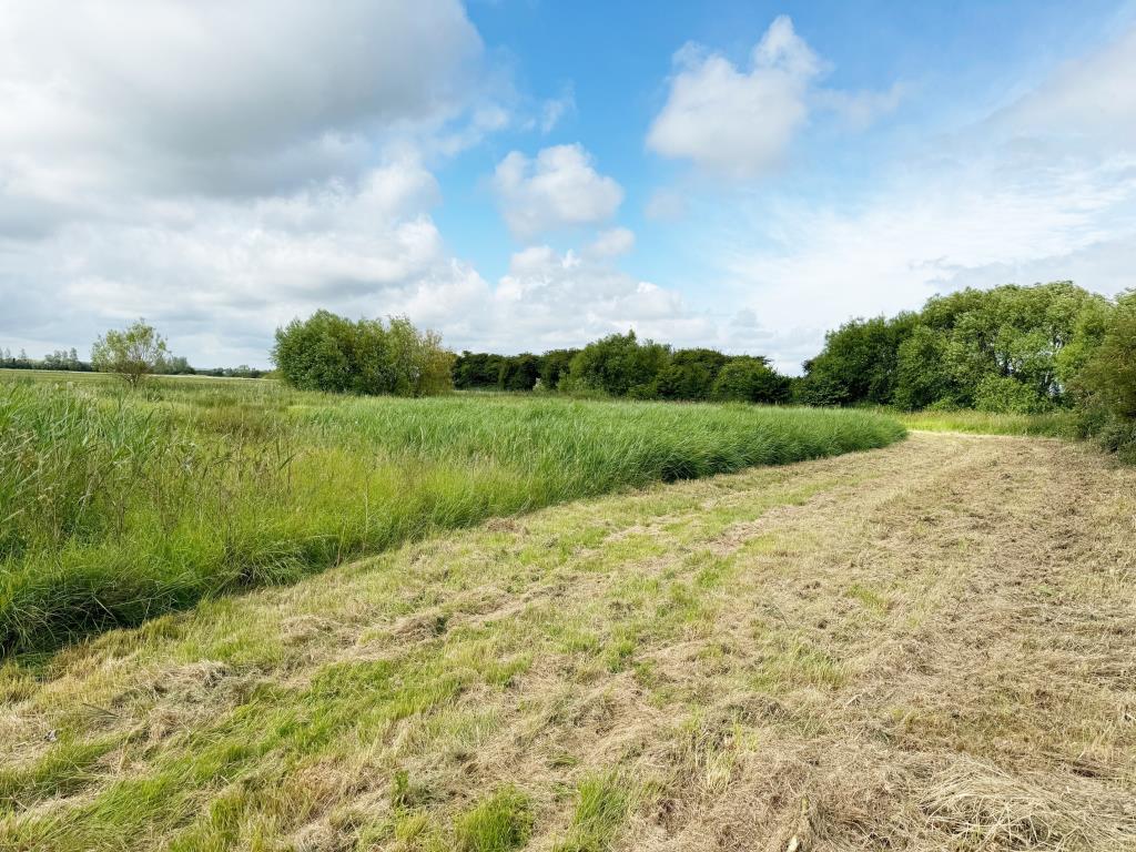 Lot: 163 - APPROXIMATELY NINE ACRES LAND INCORPORATING FLIGHT POND IN IDYLLIC LOCATION - View of land 2